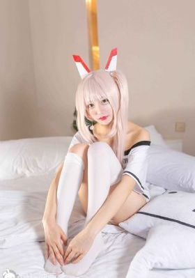 代号电视剧在线观看免费完整版