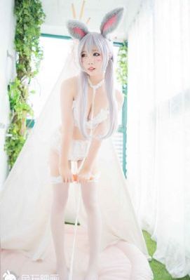 以规则之名